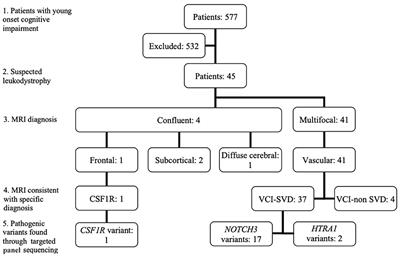 High Diagnostic Utility Incorporating a Targeted Neurodegeneration Gene Panel With MRI Brain Diagnostic Algorithms in Patients With Young-Onset Cognitive Impairment With Leukodystrophy